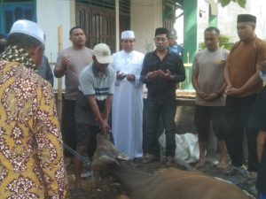 Kapolres Bima Salur Seekor Sapi Qurban untuk Masyarakat Lingkungan Polsek Madapangga 