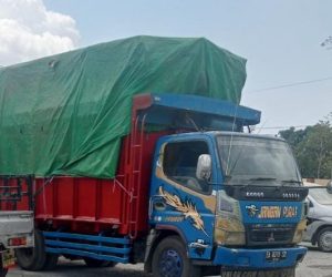 Truk dan Kayu Eva Tambora Diamankan Polisi