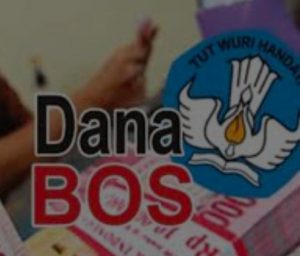 Temuan BPK, Enam Sekolah Gunakan Dana BOS untuk Honor Pegawai ASN